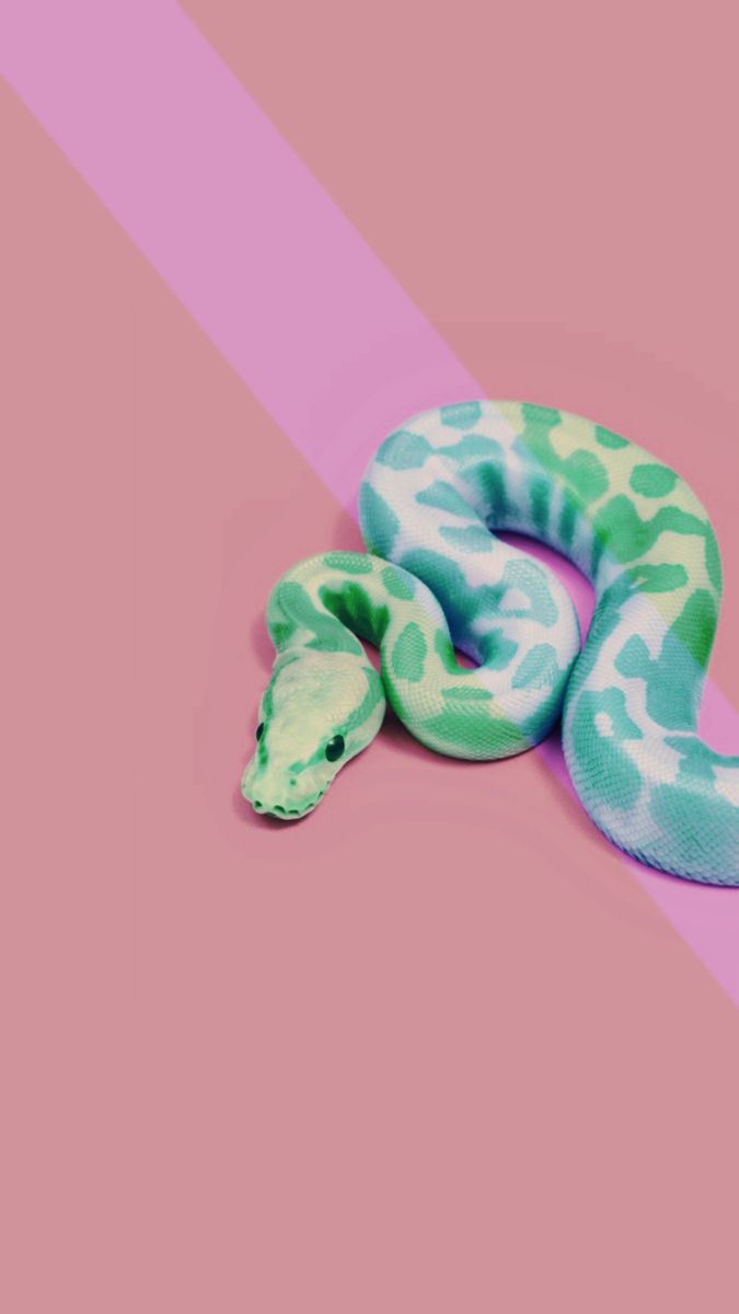 This Is My Lock Screen Aesthetic Pink Green Snake Wallpaper Not