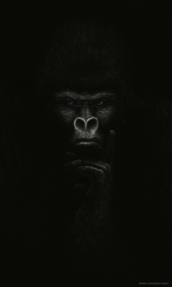 Gorilla By Logartis With Image Tattoo