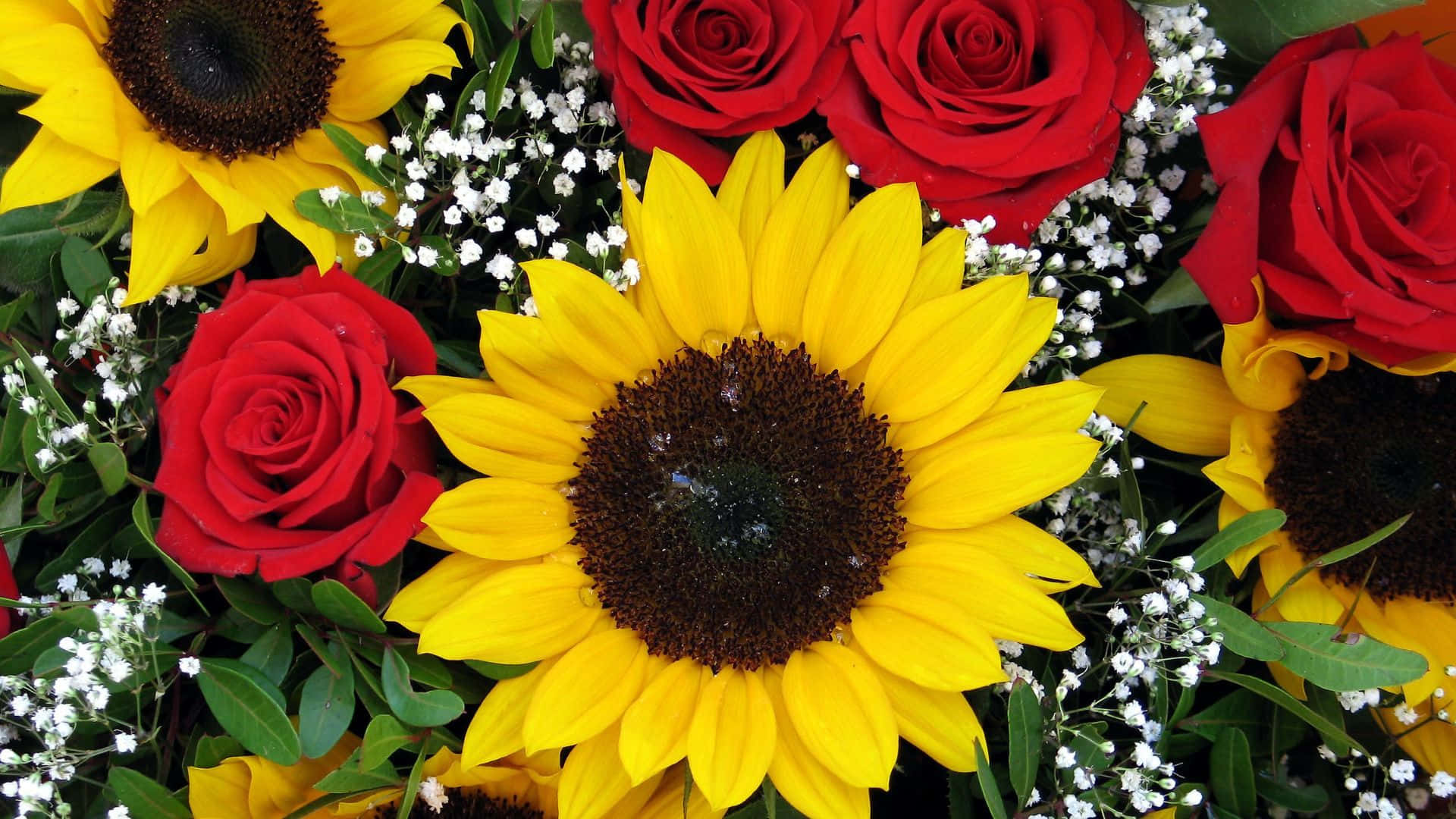 Celebrate Beauty With These Perfect Sunflowers And Roses Wallpaper