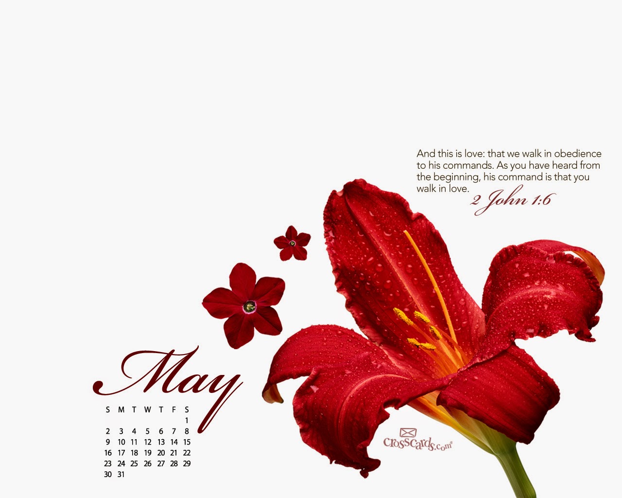 Cute Calendar May Desktop Wallpaper Jpg