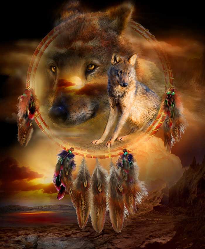 Spirit Of The Wild Series Dream Catcher Wolfland