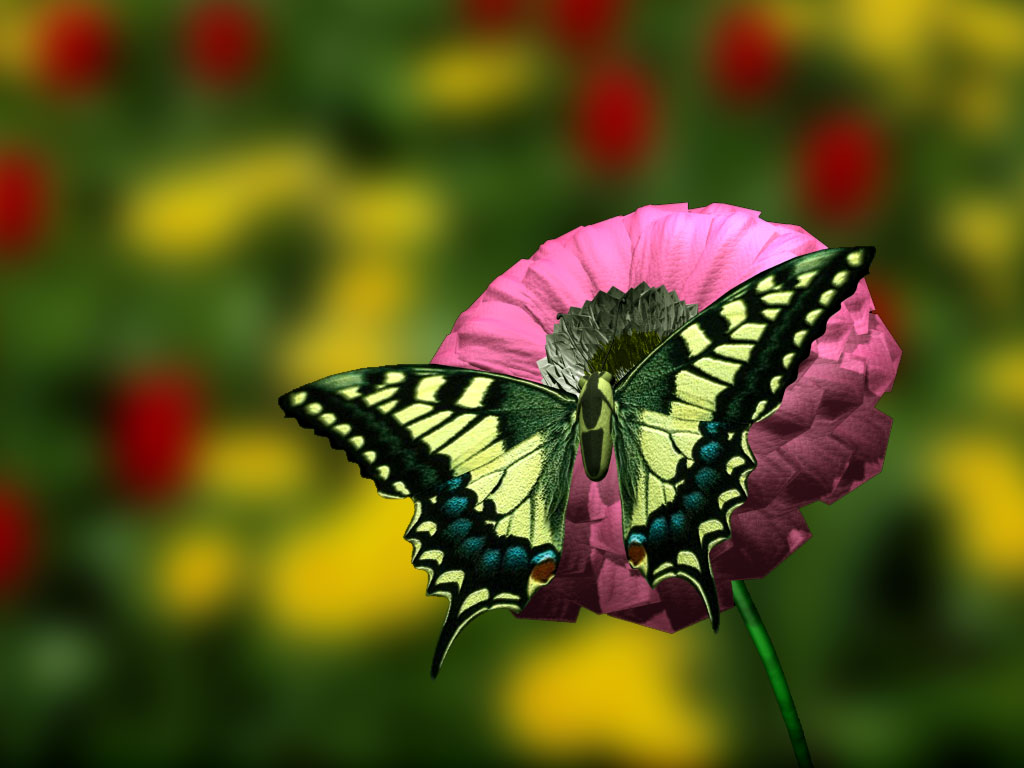 right now the image Free Beautiful Flowers and Butterflies Wallpapers
