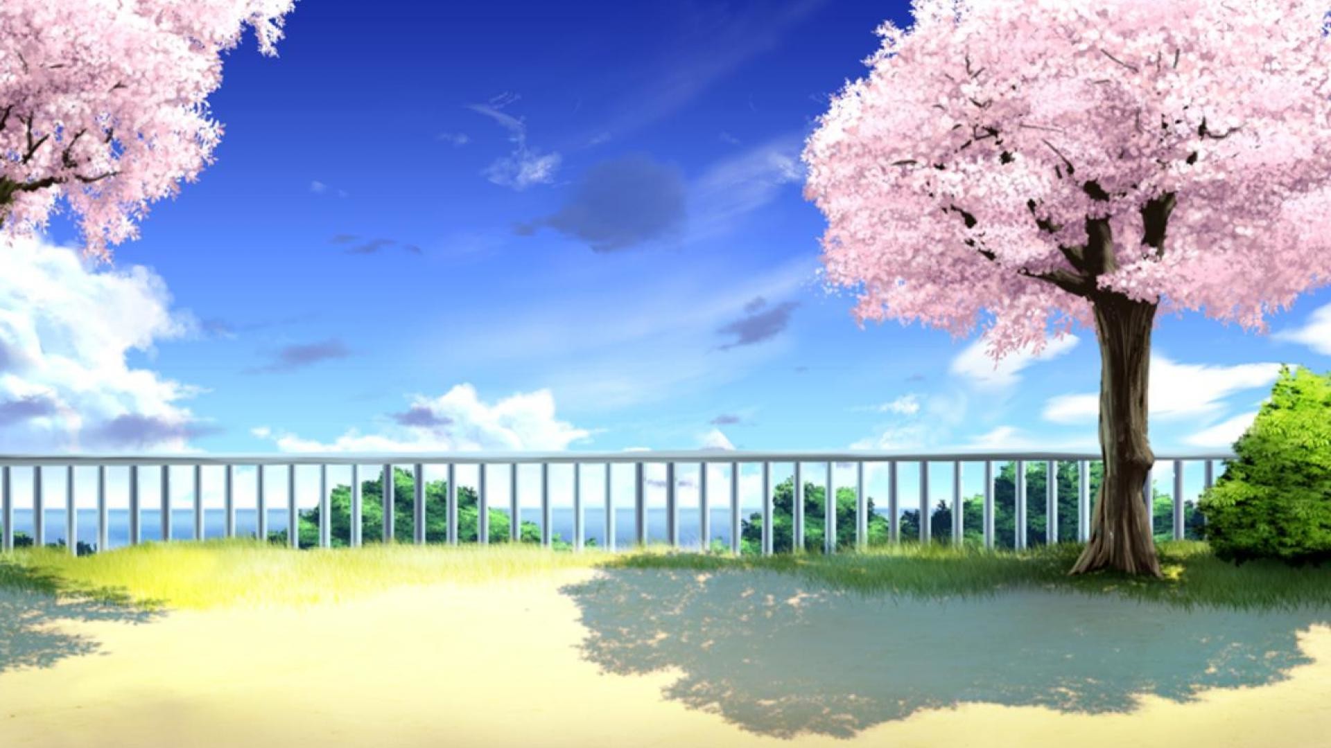 Anime Scenery Wallpaper Cherry Blossom Below Are Best And Most