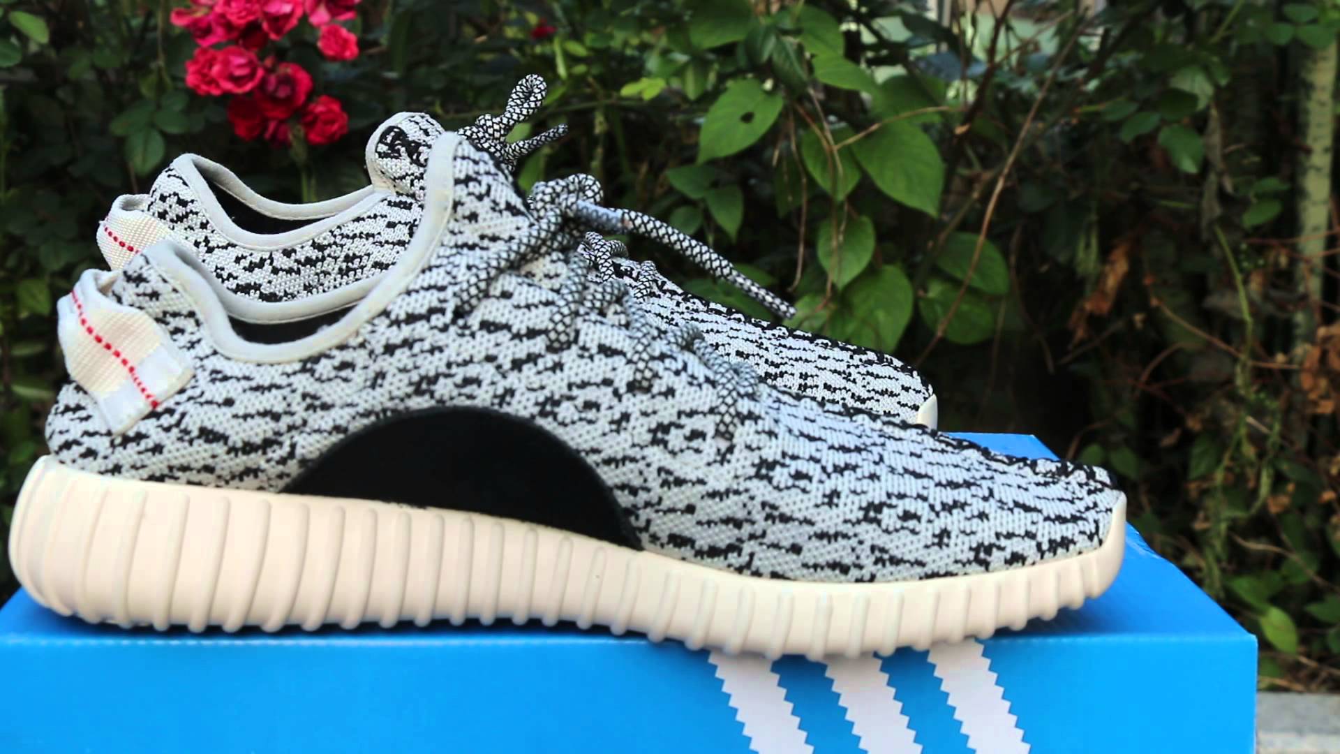 YEEZY BOOST 350 WALLPAPERS FREE Wallpapers Background images