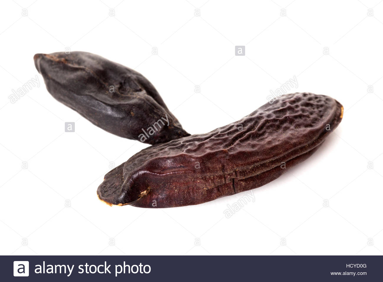 Macro Of Tonka Beans Isolated On White Background Stock Photo