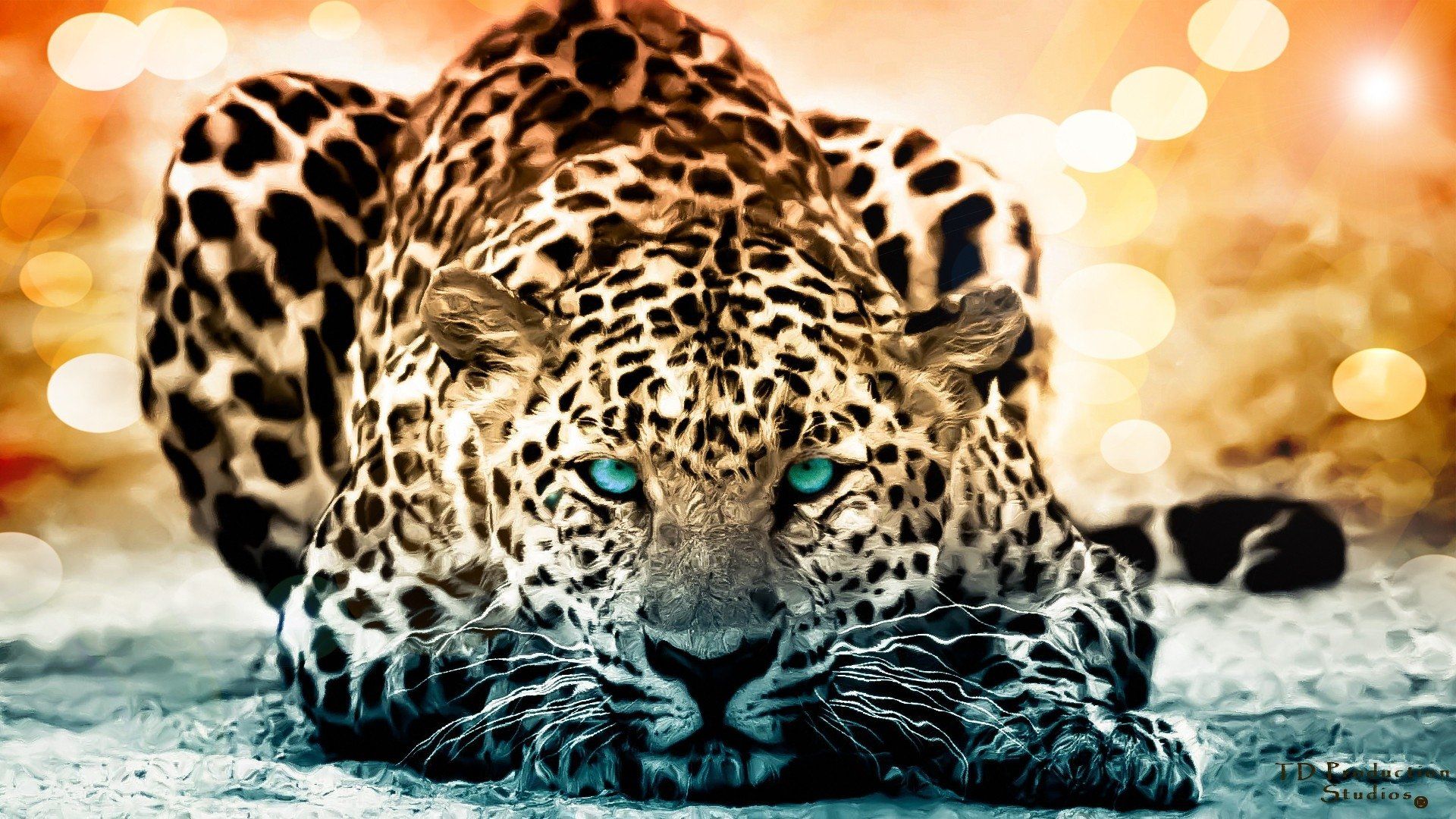 Animais Jaguar Papel De Parede Wallpaper Full HD