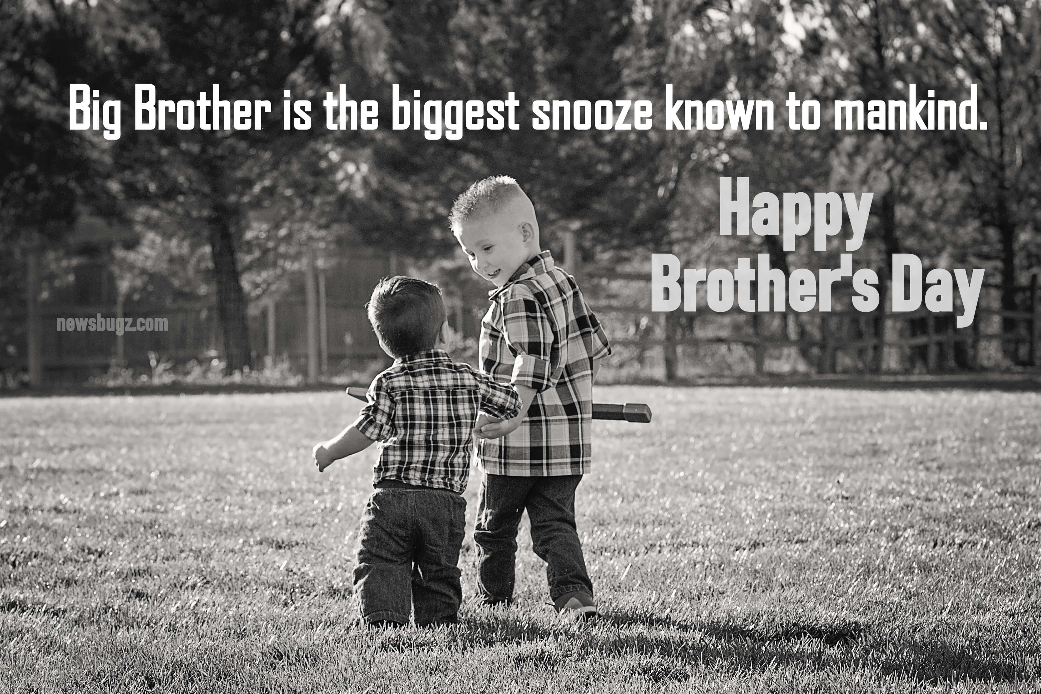 free-download-happy-national-brother-s-day-big-brother-captions-for