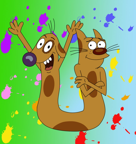 Catdog Image HD Wallpaper And Background Photos
