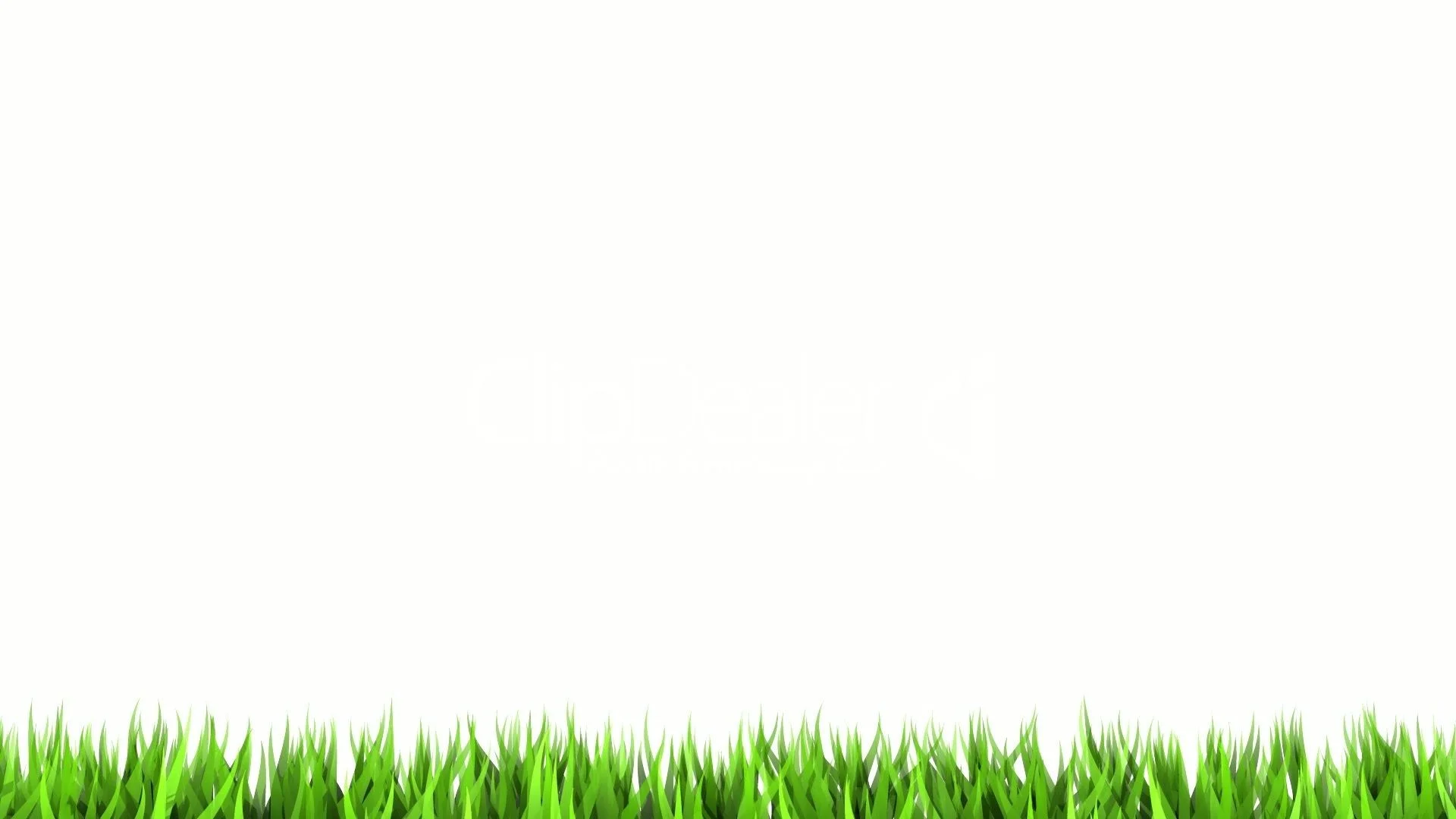 Plain White Wallpaper