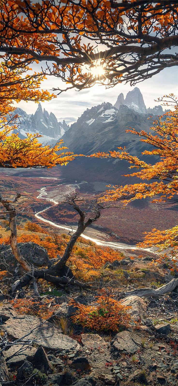 Free download the beautiful autumn colours in patagonia 4k