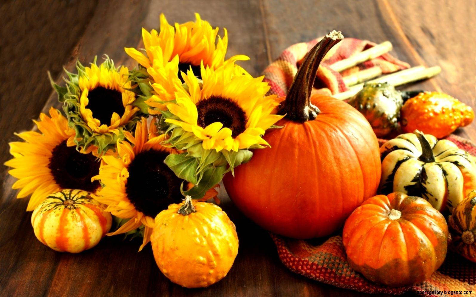 Fall Halloween Aesthetic Wallpaper