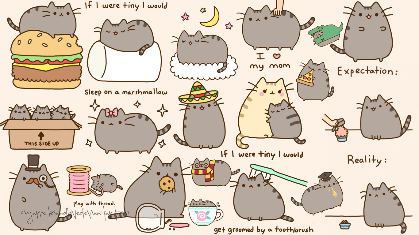 Pusheen Wallpaper  Download to your mobile from PHONEKY