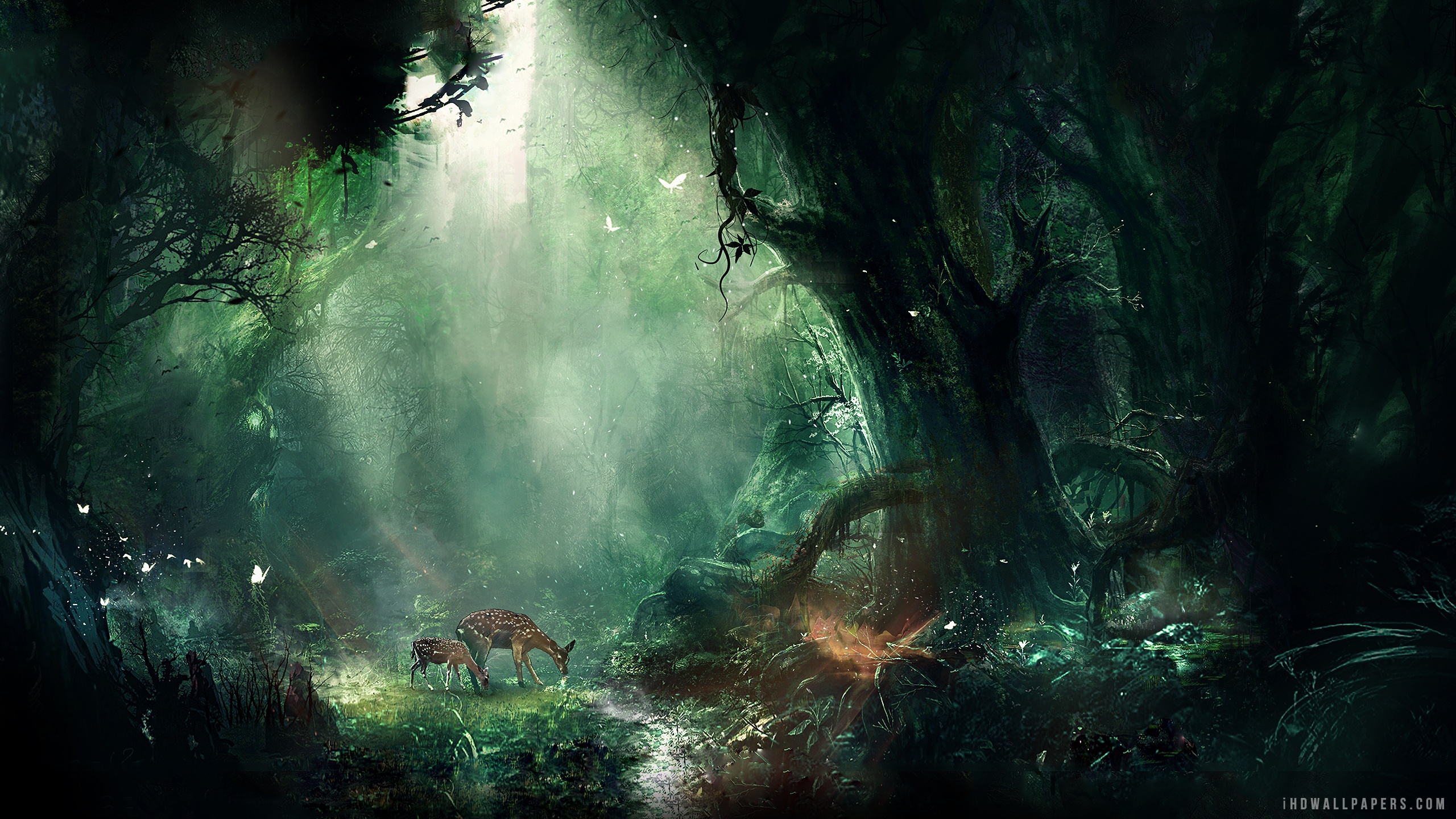 Fantasy Forest HD Wallpaper IHD