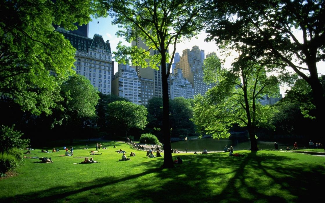 New York City Central Park Wallpaper