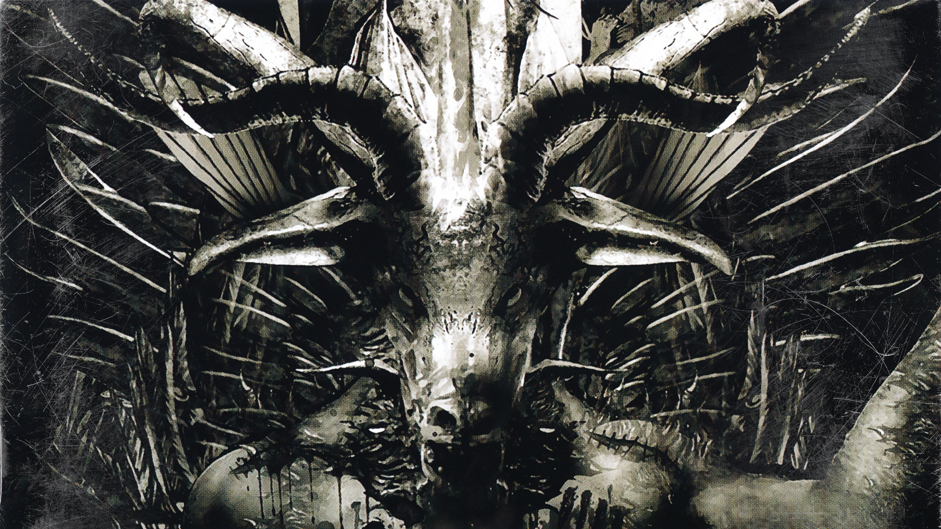 Belphegor HD Wallpaper Id Wallpapervortex
