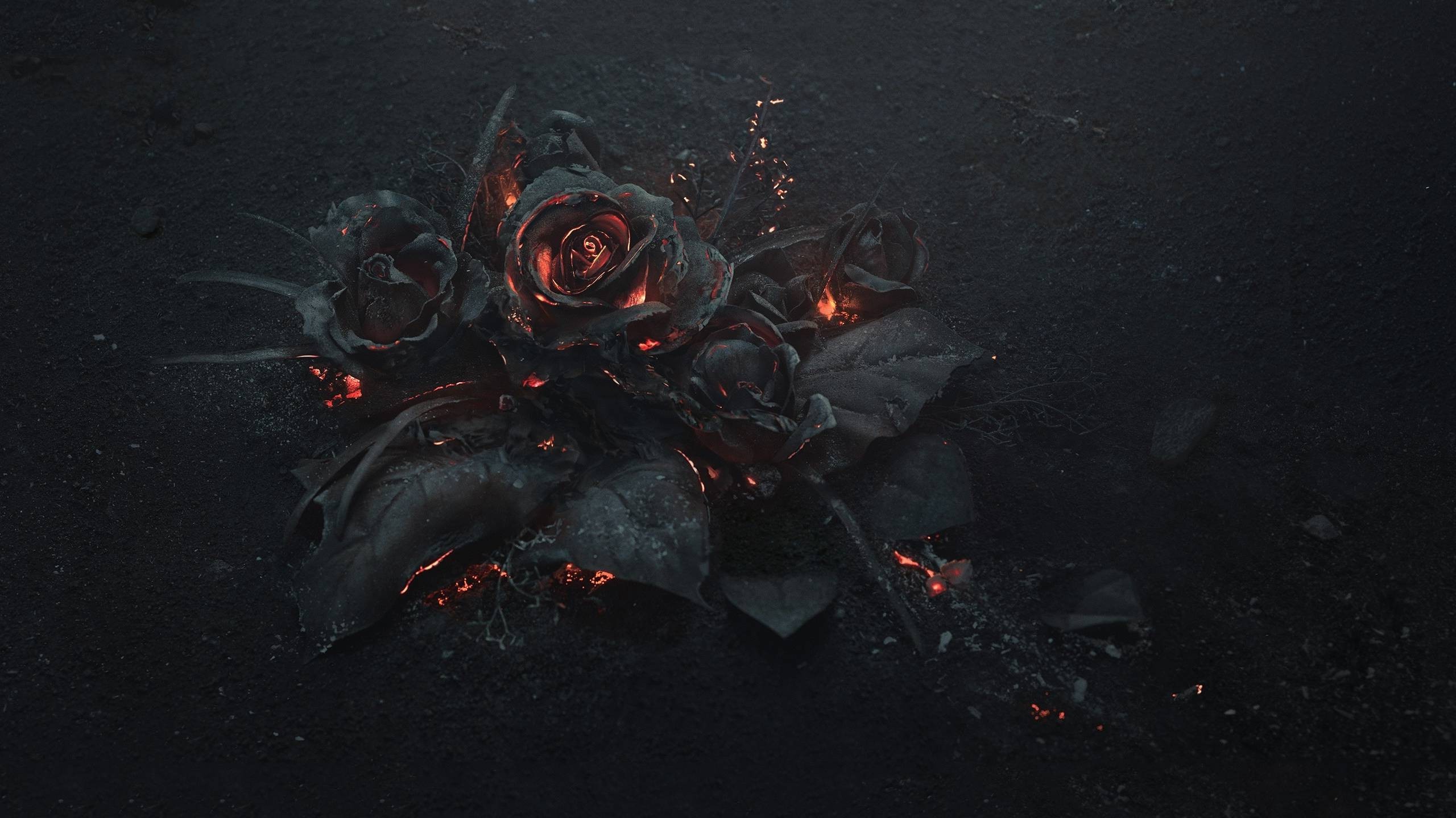 Flowers Rose Fire Gothic Wallpaper HD Desktop And