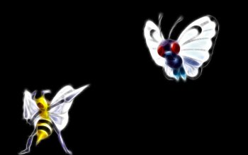Beedrill Pok Mon HD Wallpaper Background