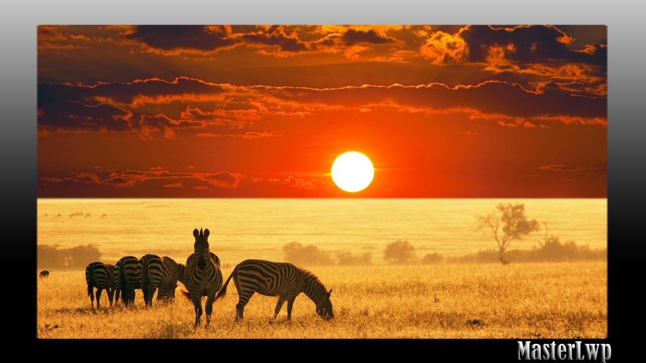 South Africa Wallpaper For Android Apk