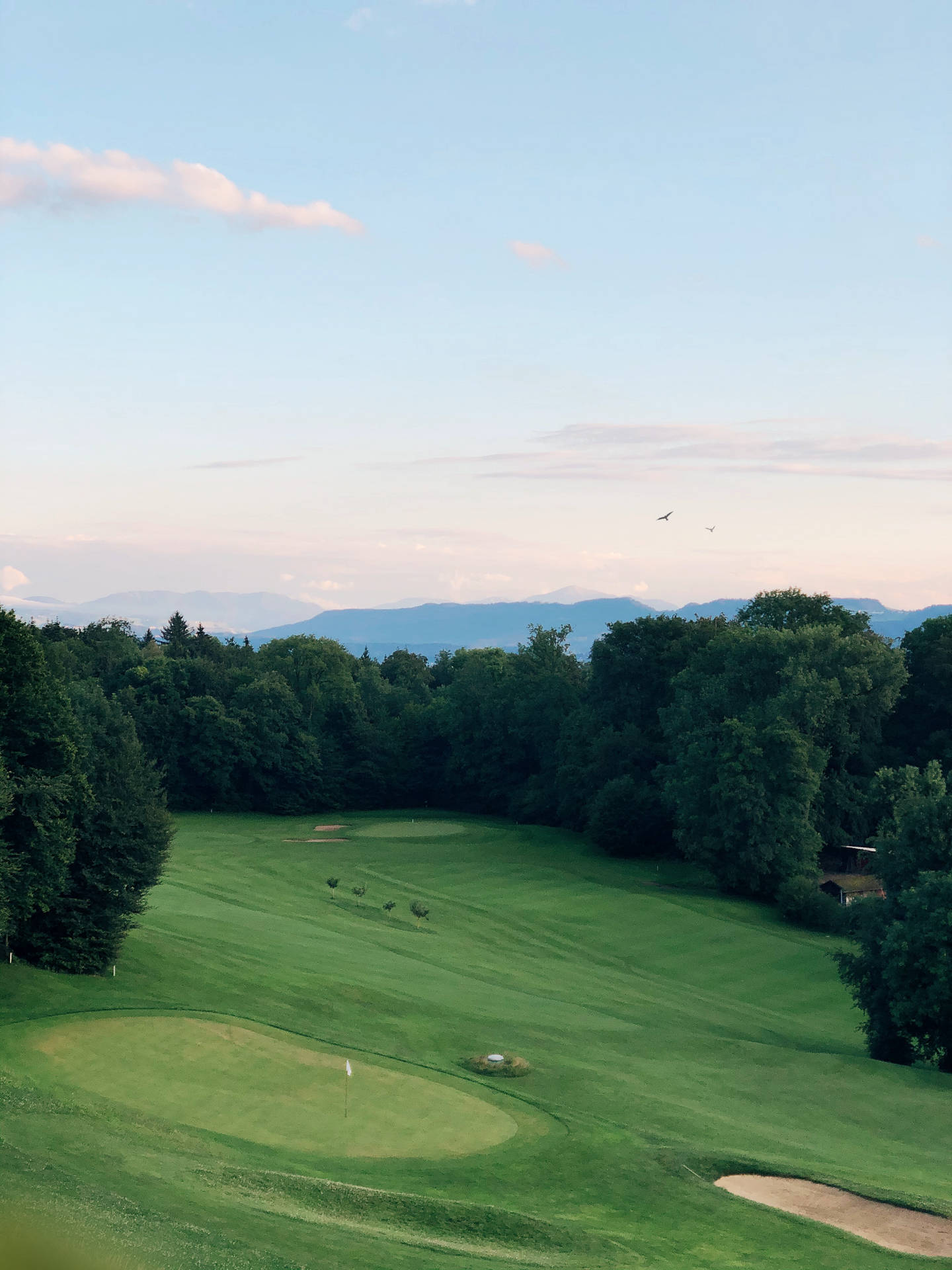 Golf Green Grass And Trees iPhone Wallpaper