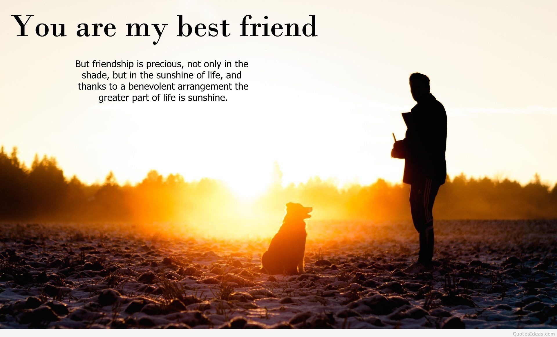 Silhouette of a person and a dog at sunset with a friendship quote