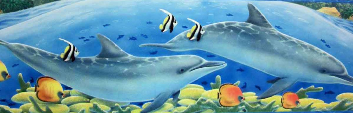 New   Playful Dolphins Tropical Mural Stickers bunda daffacom