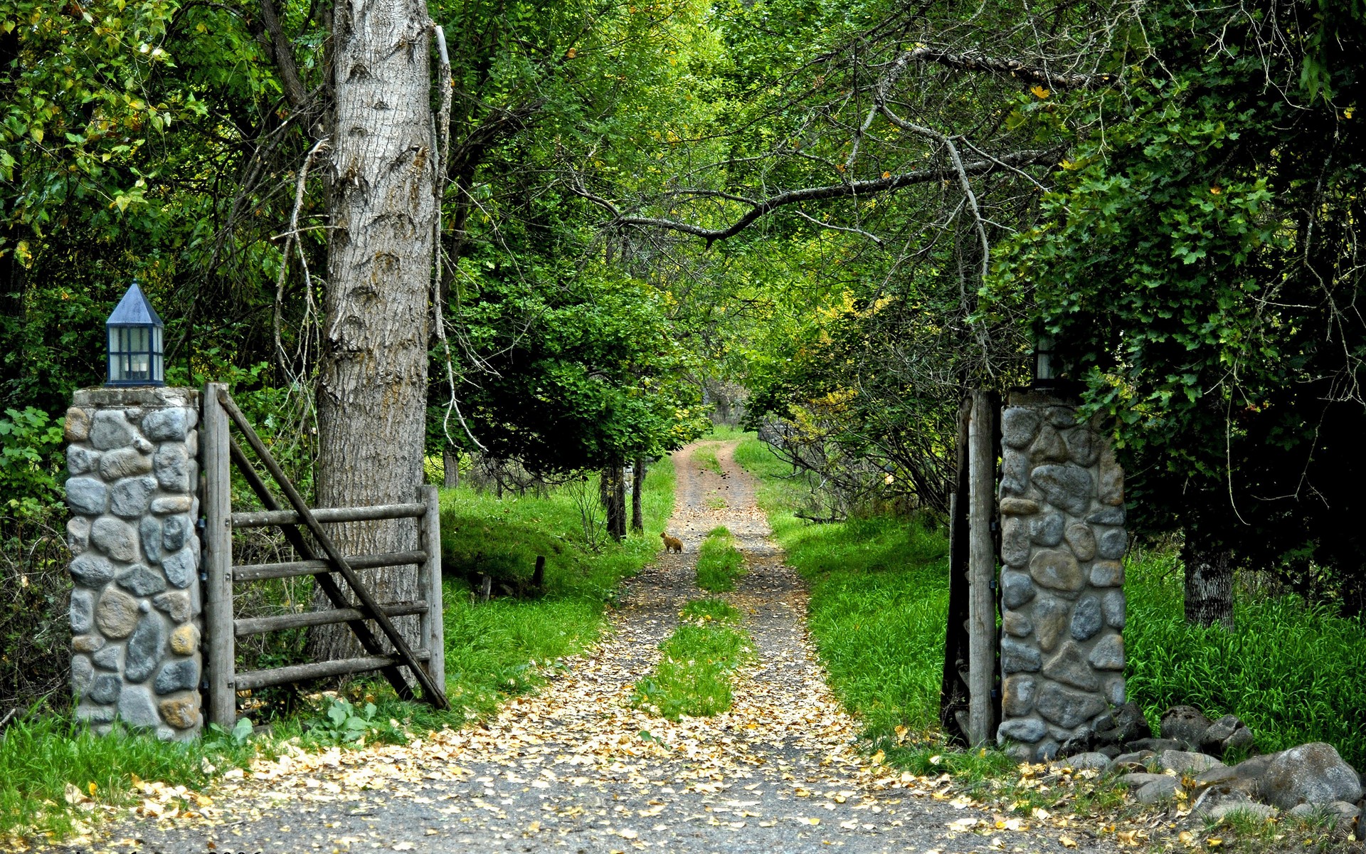 Wallpaper Tree Road Garden Gate To A Green