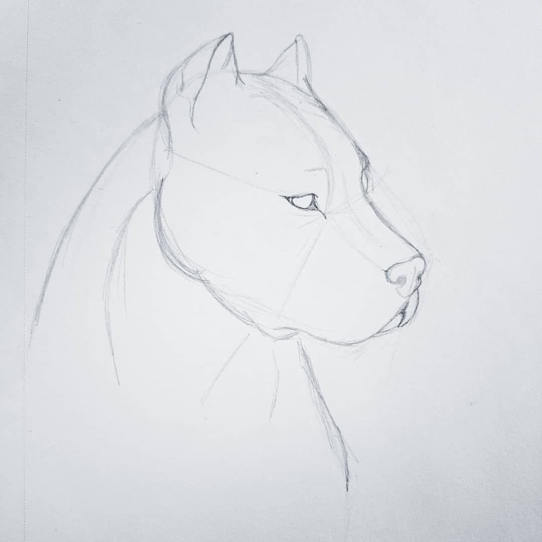 Drawings
