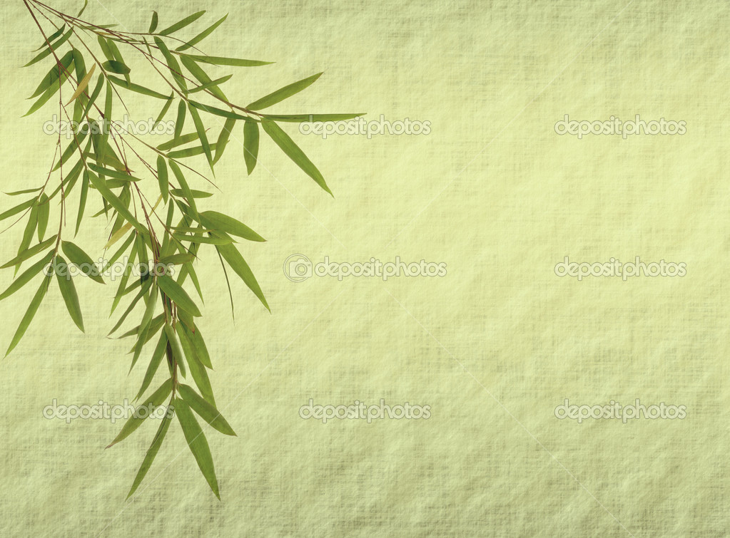 Wallpaper Bamboo Design Weddingdressin