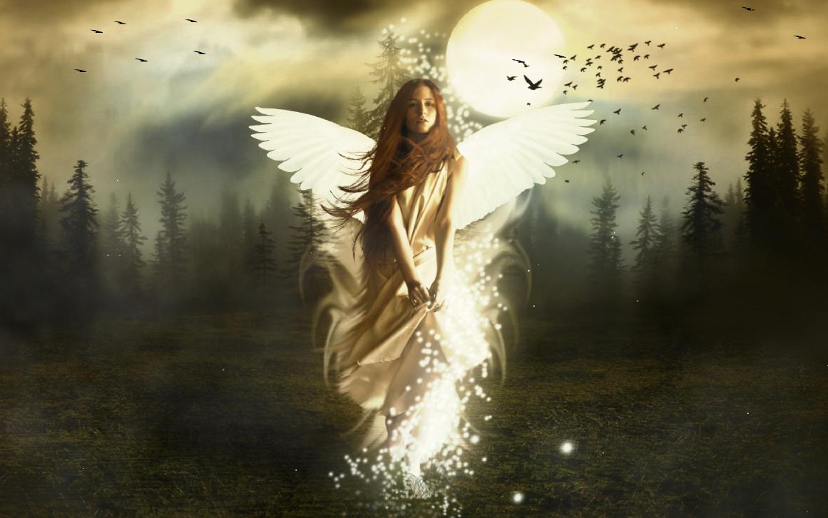Download Beautiful Angel Animated Wallpaper 1161x726