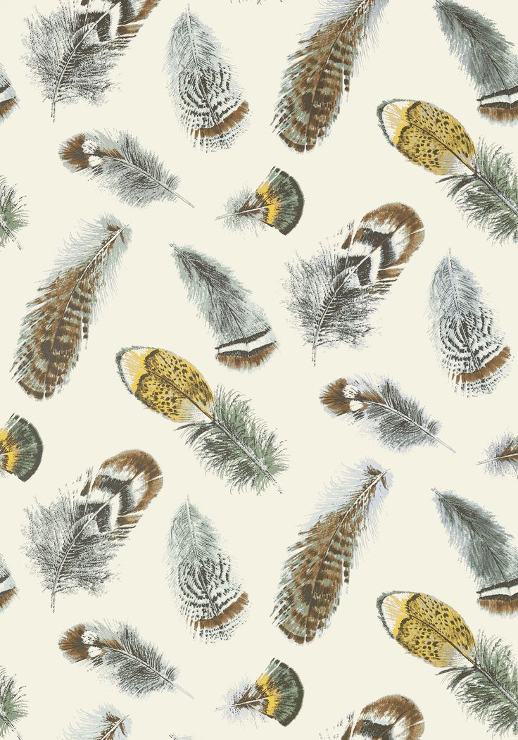 Bird Feather Wallpaper Aqua On Cream T14258 Collection Imperial