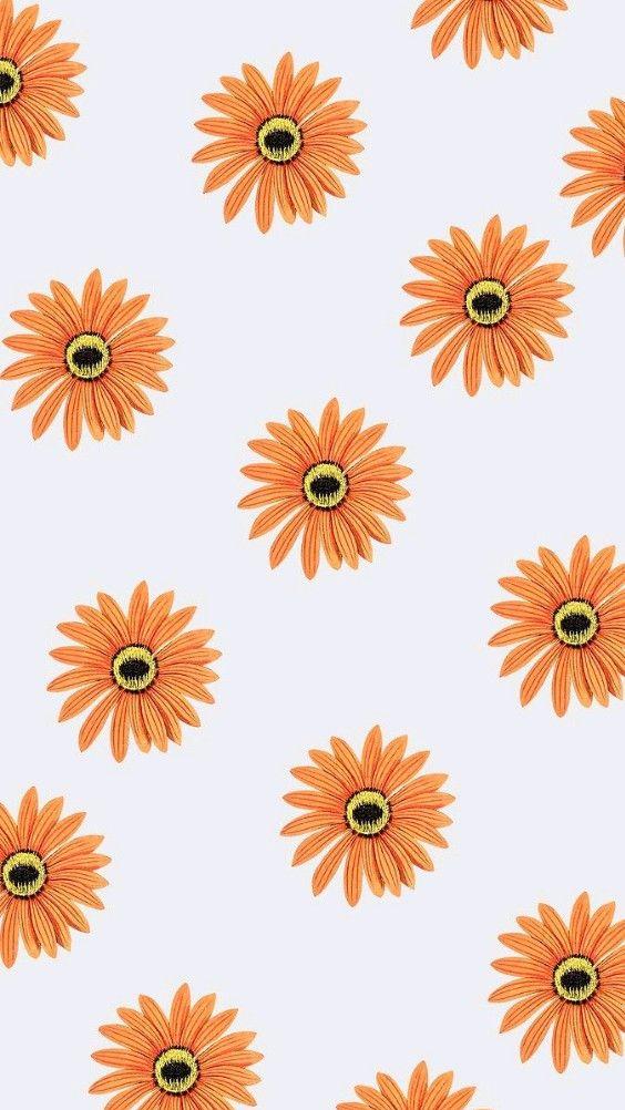 Orange Flowers Wallpaper Cute