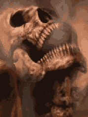 smoking skull Skulls animated wallpapers