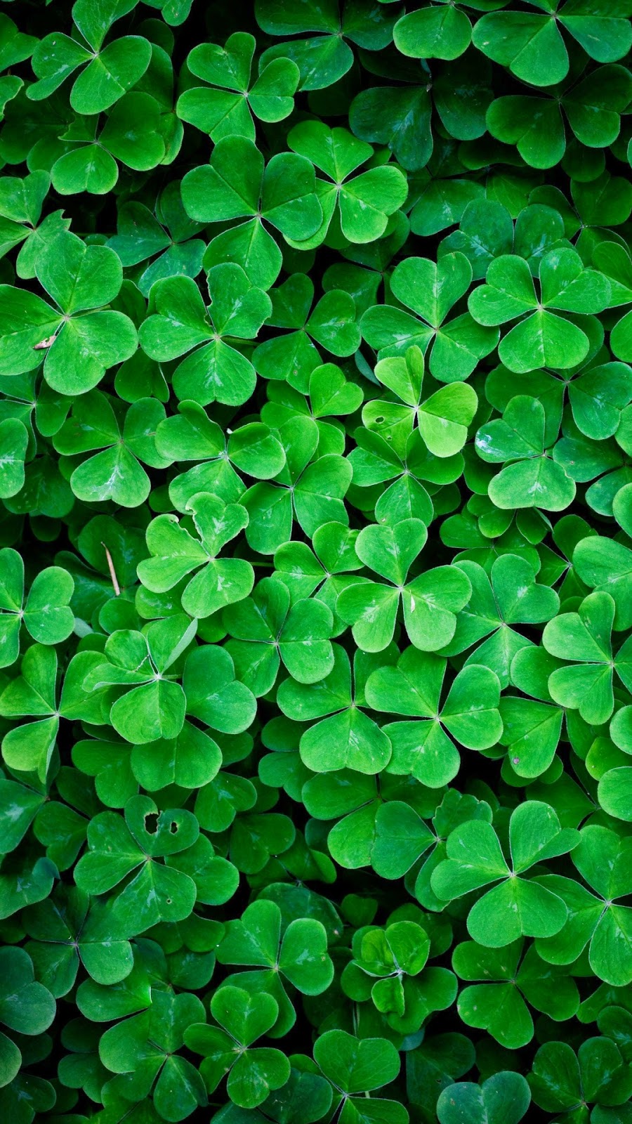 These Wallpaper To Just Tap On A And Save Image As