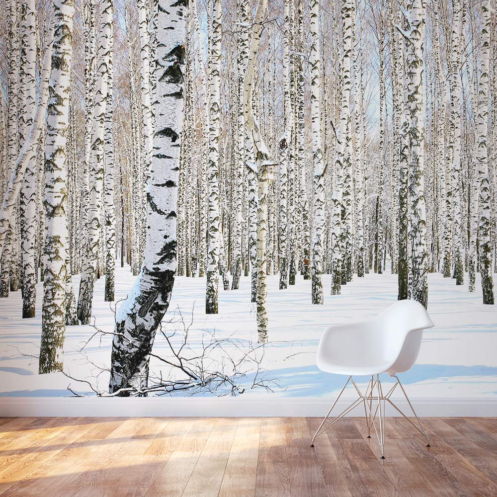 Winter Birch Trees Wall Mural