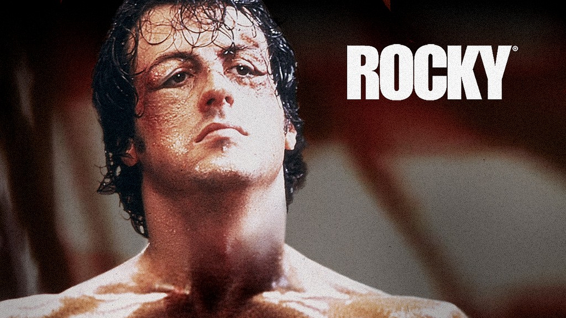 18 Rocky HD Wallpapers Backgrounds