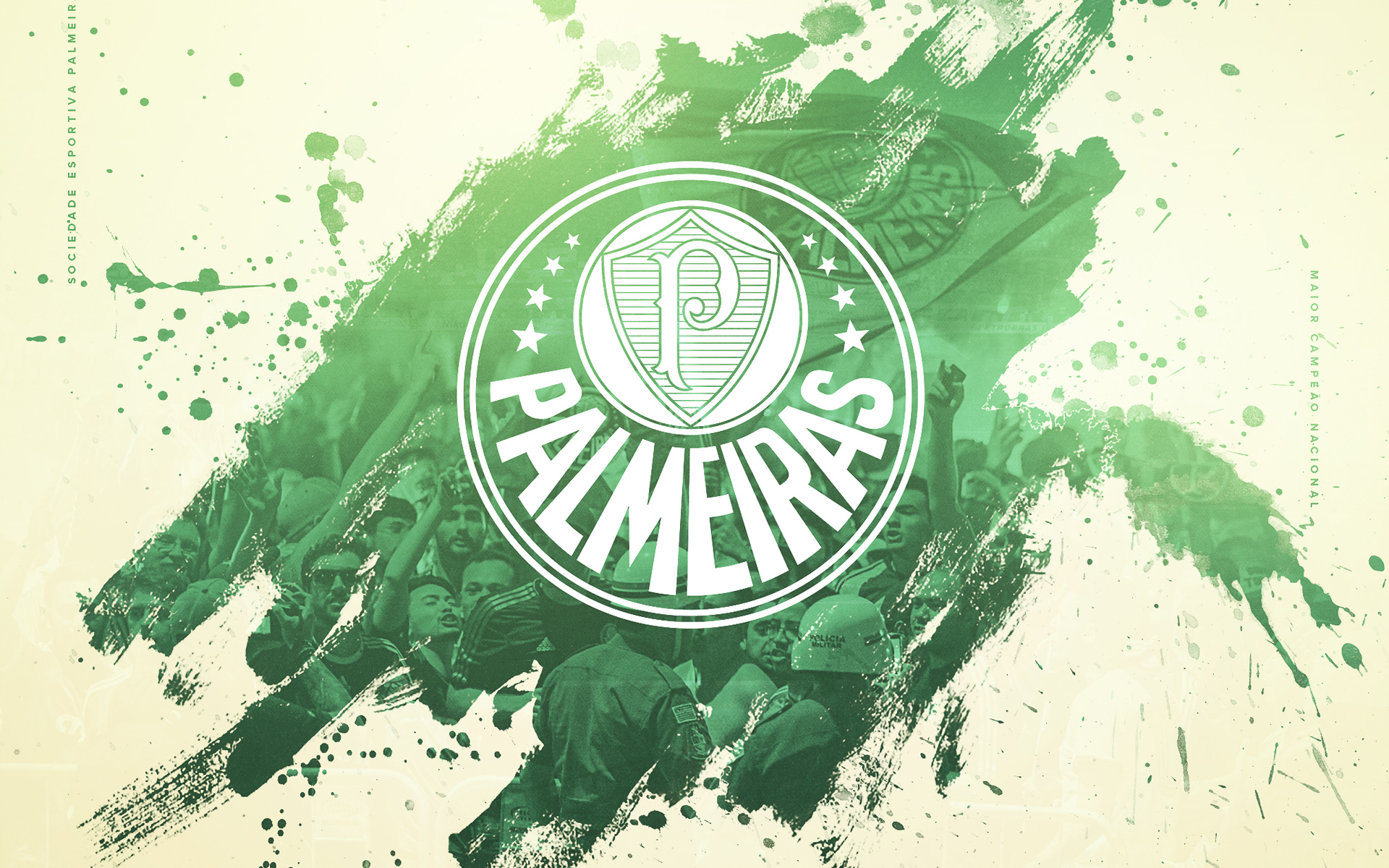 Se Palmeiras HD Wallpaper Background Image Id