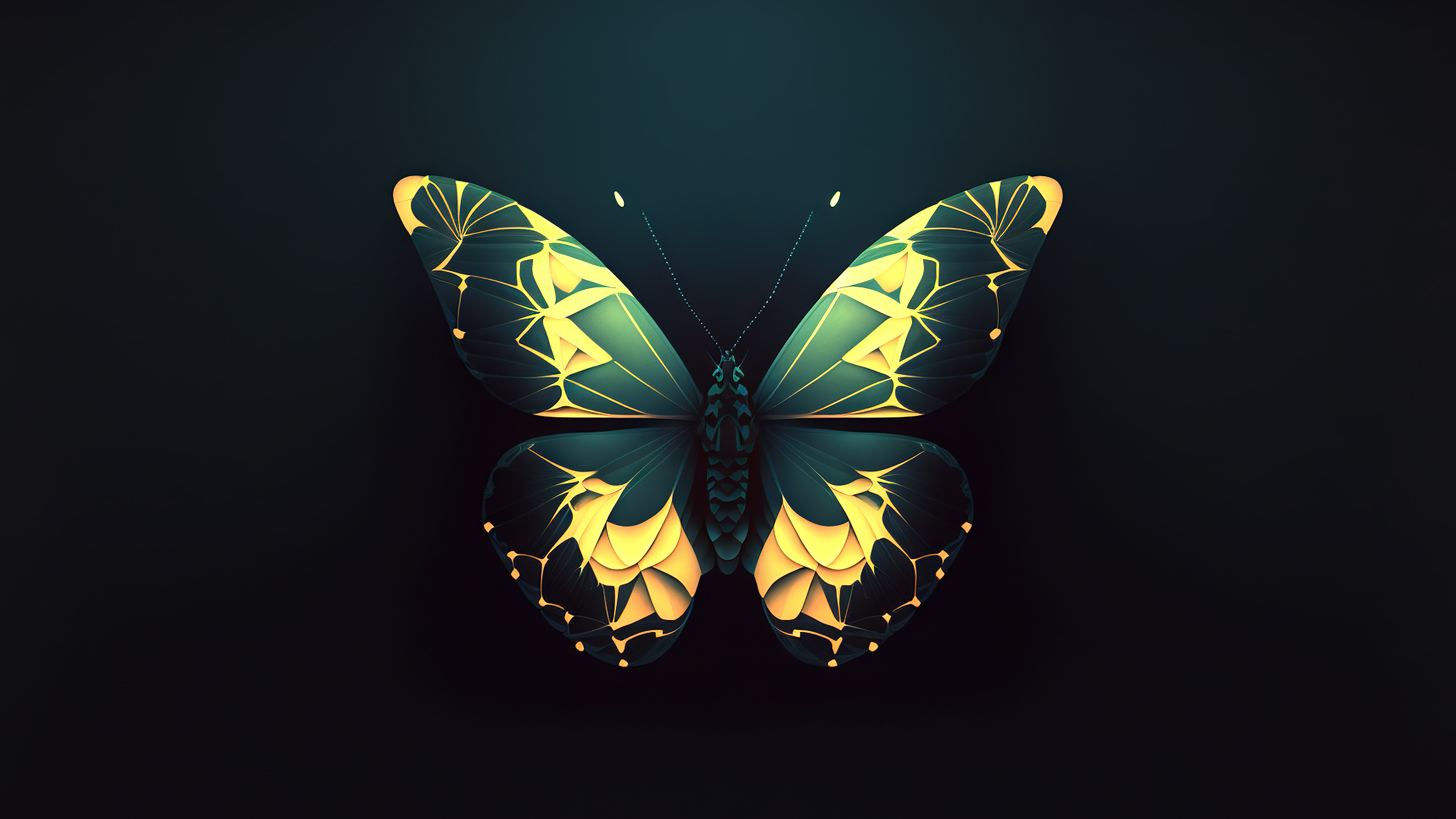 Butterfly Wallpaper Desktop