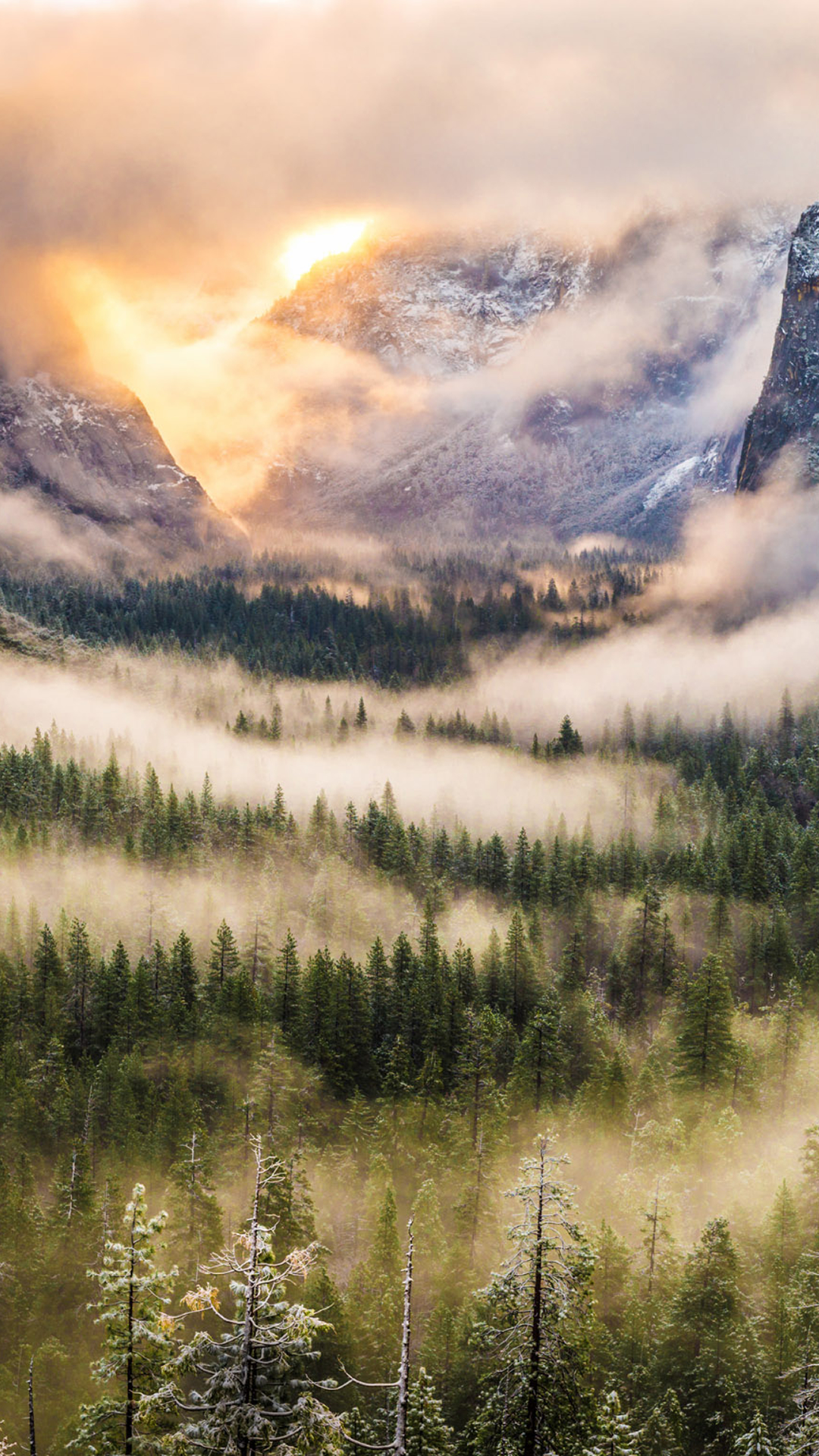 Foggy Forest Mountains Landscape iPhone Wallpaper