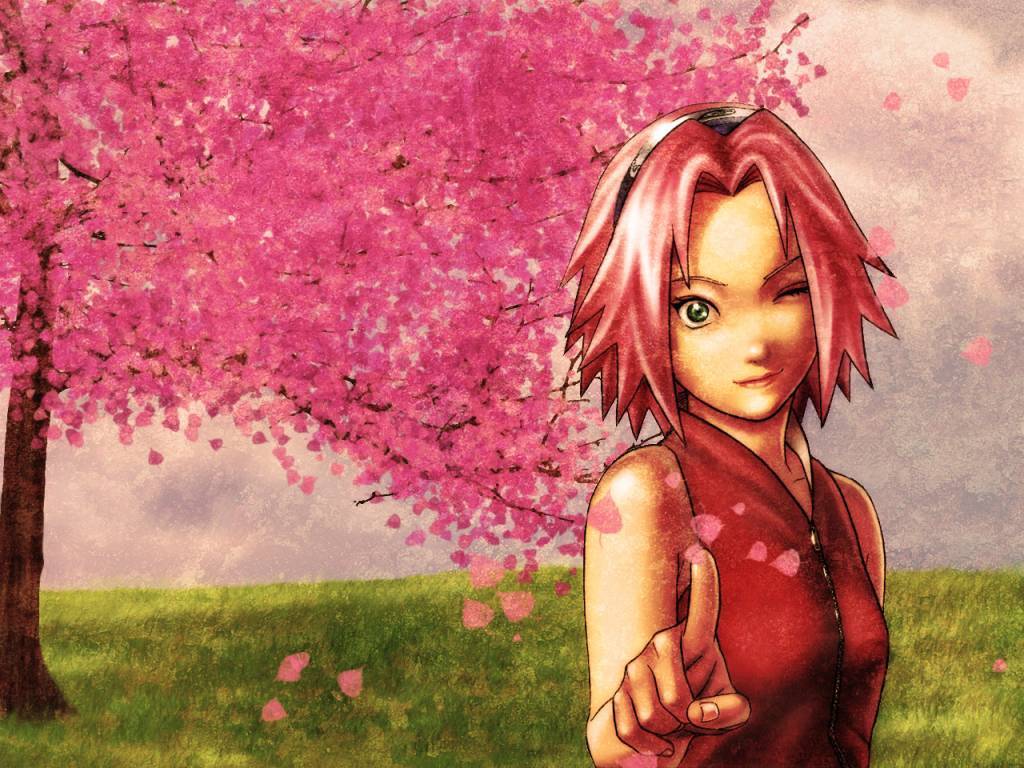 Haruno Sakura Image HD Wallpaper And