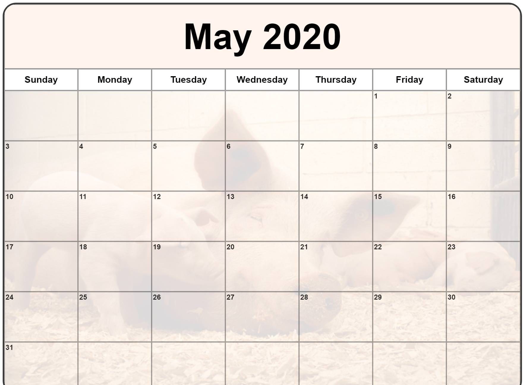 Cute May 2020 Calendar Floral Wall Calendar Design May 2020