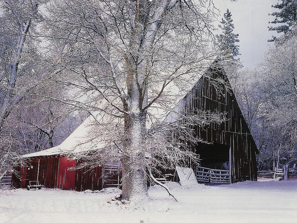 To Christmas Winter Barn Wallpaper Red People