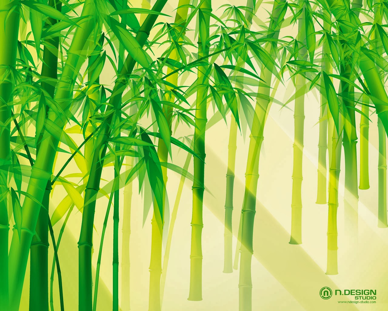 Bamboo Forest HD Desktop Wallpaper