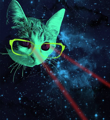 Tarot Potions And Psychedelic Magick Spells Hipster Cats In Space