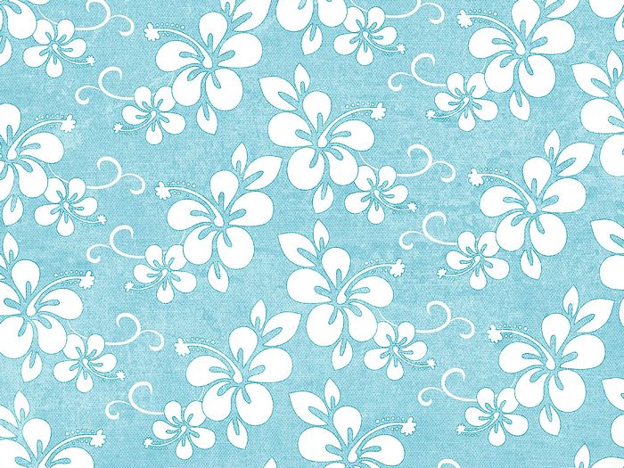 Patterns Summer Fun Art Paper White Flowers In Blue