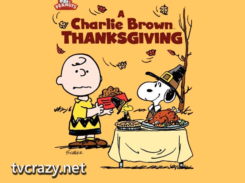 Funny Thanksgiving Wallpaper HD