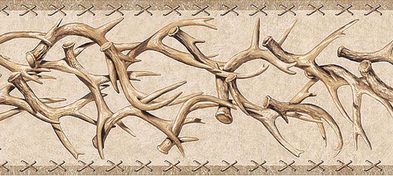 Details About Western Deer Antlers Wallpaper Border Ta39016b