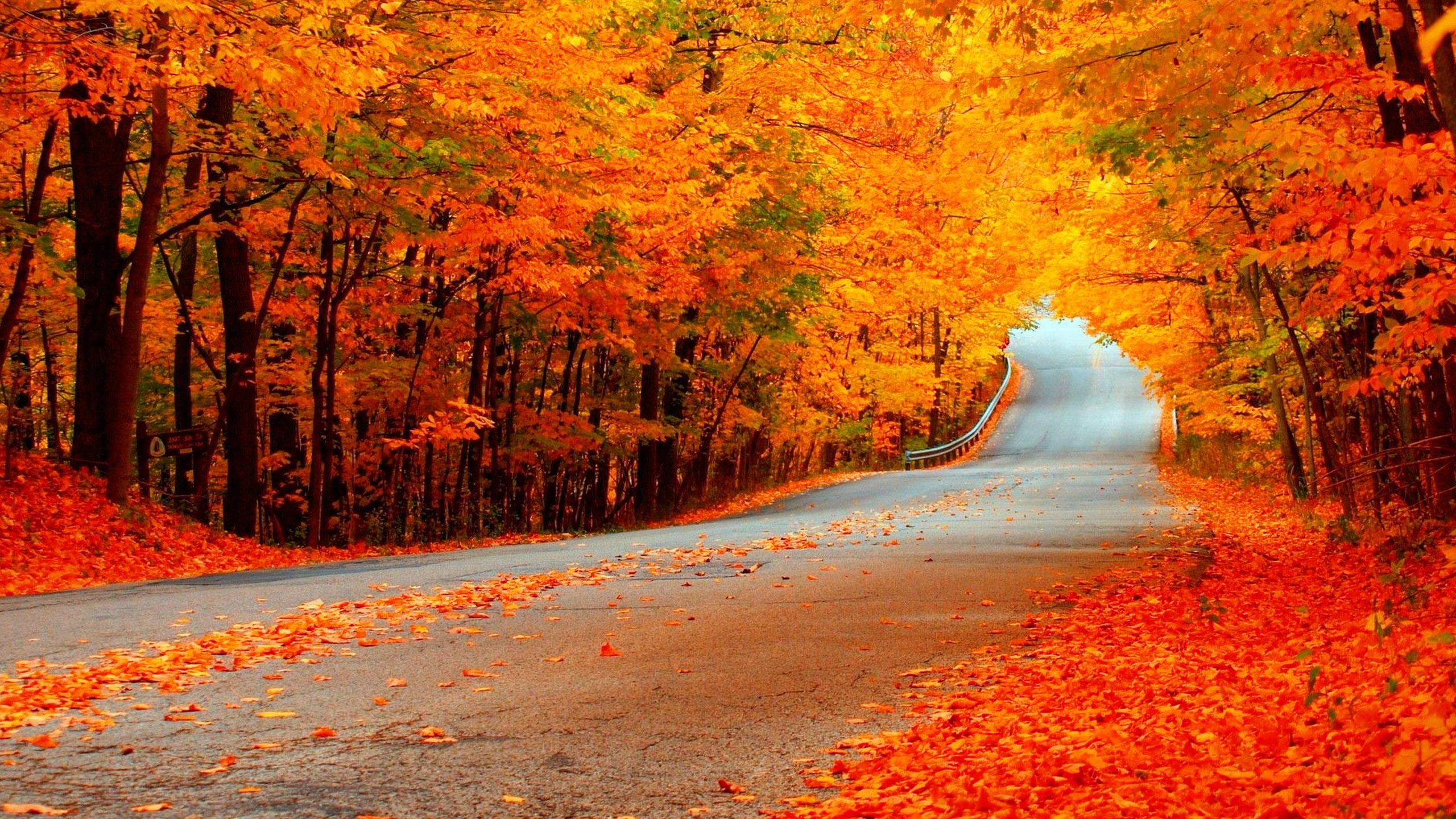 Image Gallery HD Fall Background