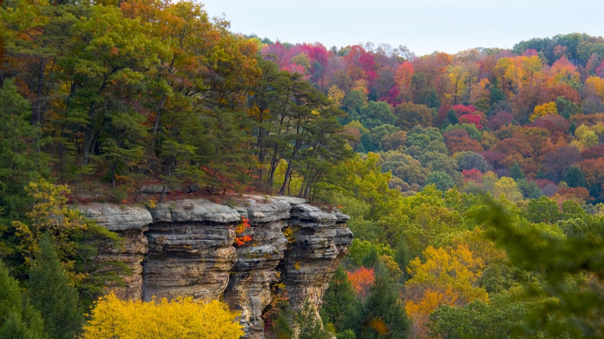 Autumn Hills Ohio Wallpaper