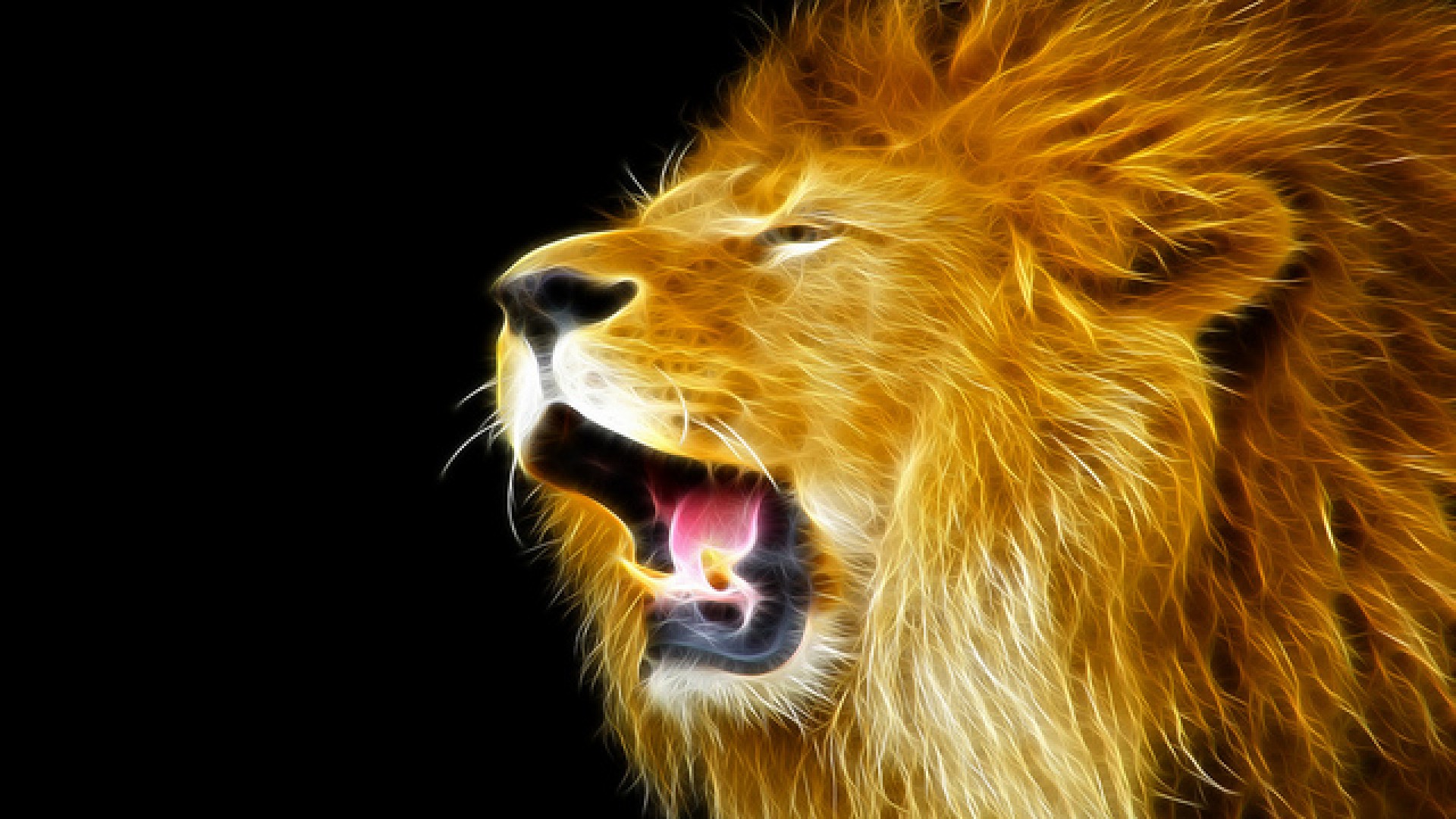 Lion Wallpaper Best
