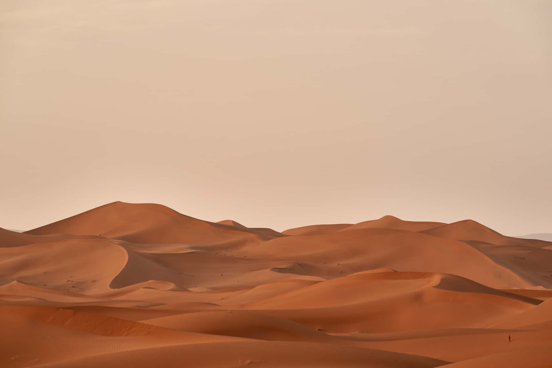 Beige Aesthetic Background Wallpaper